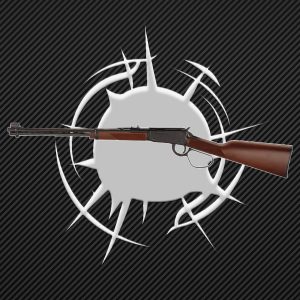 Henry repeating arms