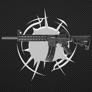 Smith & Wesson M&P15-22