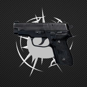 SigSauer p228
