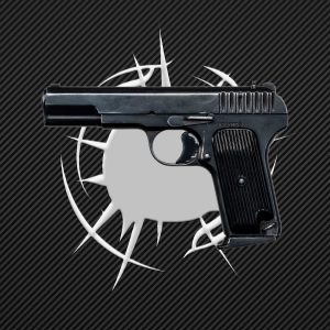 TT33